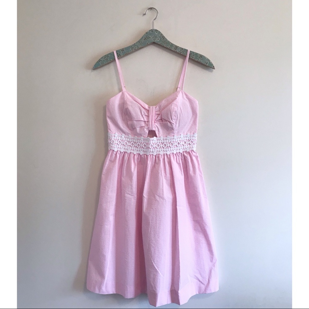 NWT Lilly Pulitzer Katlynn Pink Pinstripe Dress